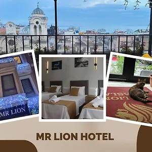 Mr Lion Kumkapi , Istambul Turquie